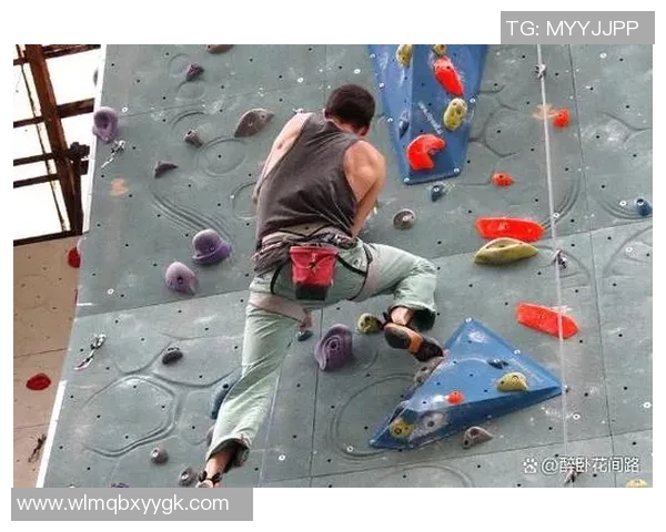 从零开始的攀岩之旅：团队协作与技巧全解析